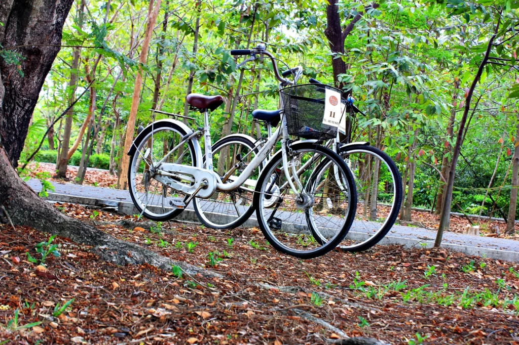 Zwei Mietfahrräder im grünen Sri Nakhon Khuean Khan Park in Bang Krachao – Foto: Naludon77
