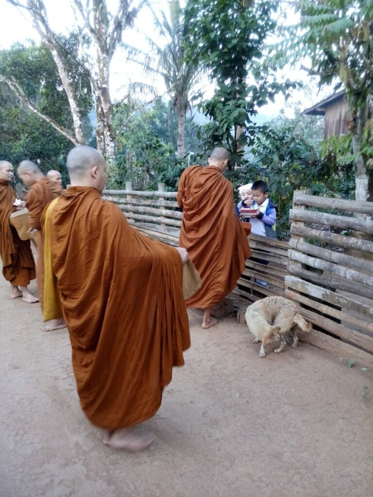 Buddhistische Mönche beim morgendlichen Almosengang in Thailand