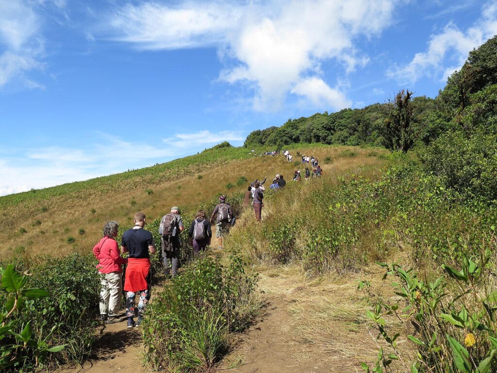 Wanderer auf dem bewaldeten Kew-Mae-Pan-Naturpfad am Doi Inthanon
