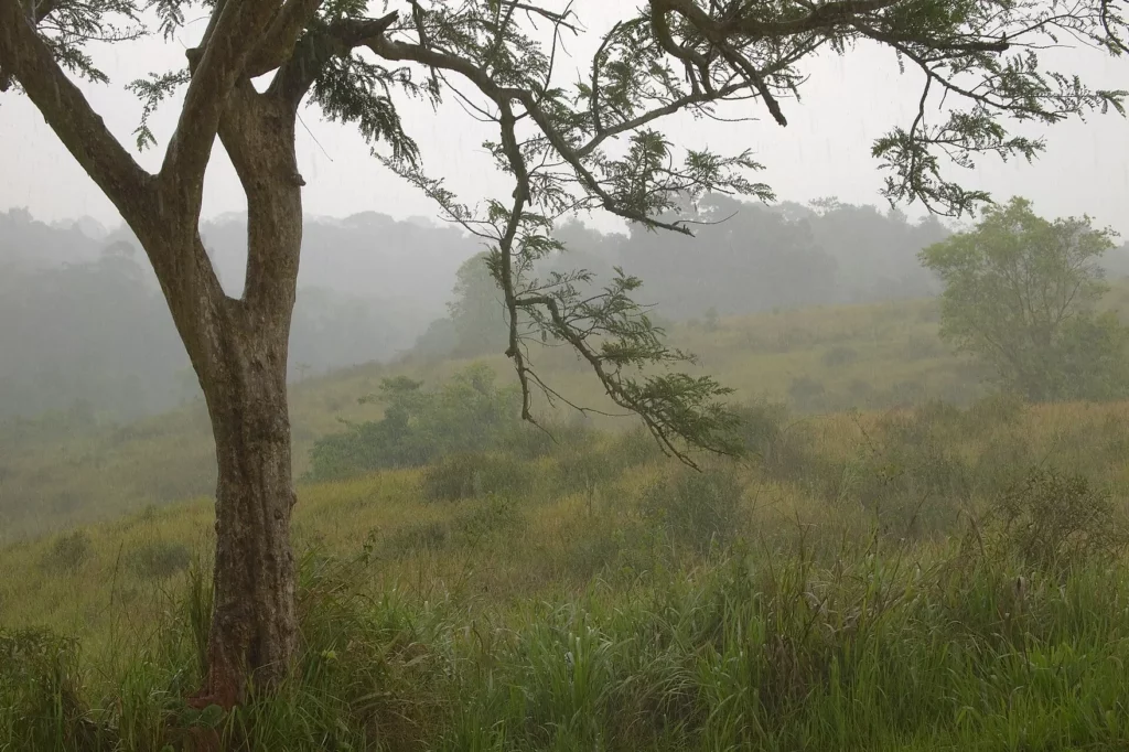 Khao yai nationalpark – Reiseführer für Thailand
